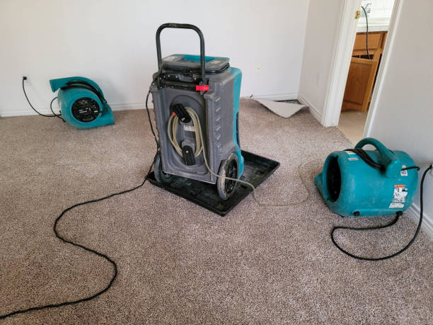 Best Flood damage cleanup  in Caldwell, TX