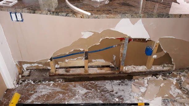 Best Flood damage cleanup  in Caldwell, TX