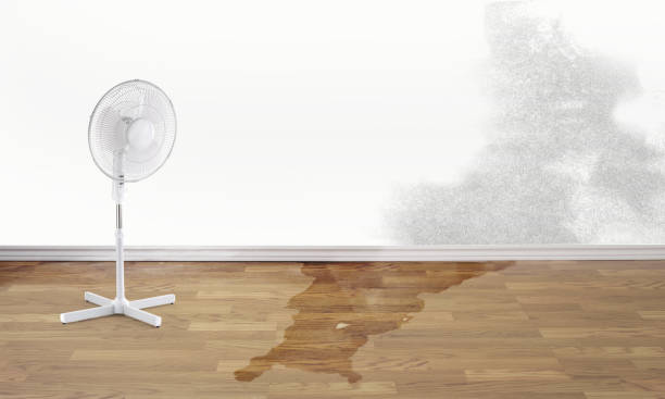 Best Flood damage cleanup  in Caldwell, TX
