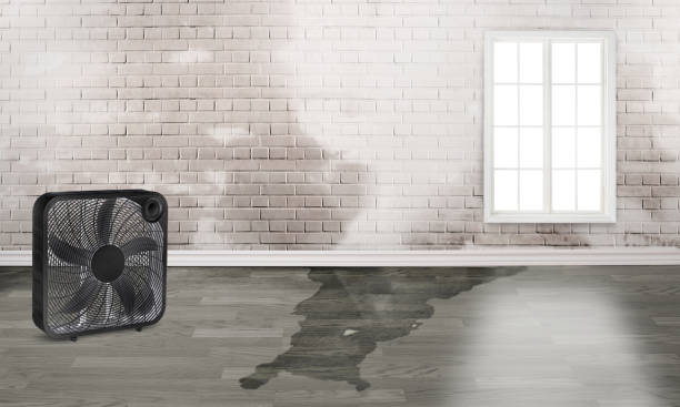 Best Sewage cleanup and water damage restoration  in Caldwell, TX