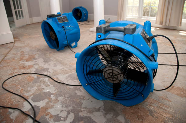 Best Carpet water damage restoration  in Caldwell, TX