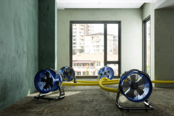 Best Water damage contractors near me  in Caldwell, TX