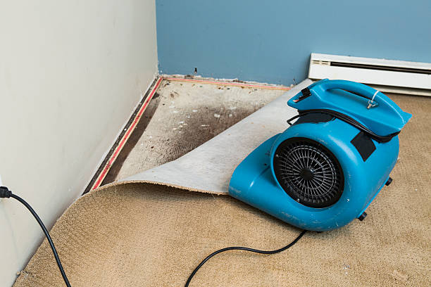  Caldwell, TX Water damage restoration Pros